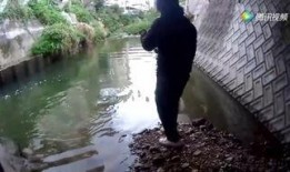 阿哈水库爆料事件视频大全,揭秘事件真相与背后故事